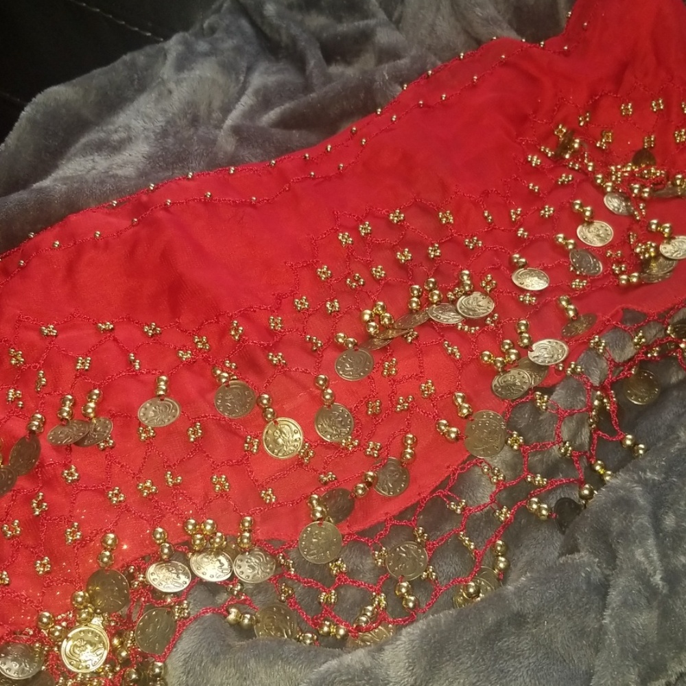 Belly dance skirt